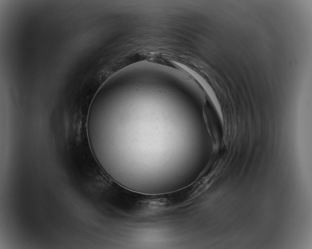 X0000088650525200705251504