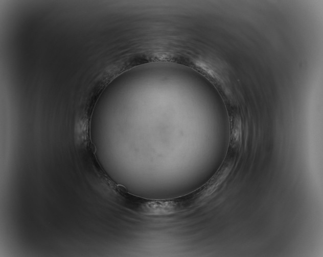 X0000088650526200705251504