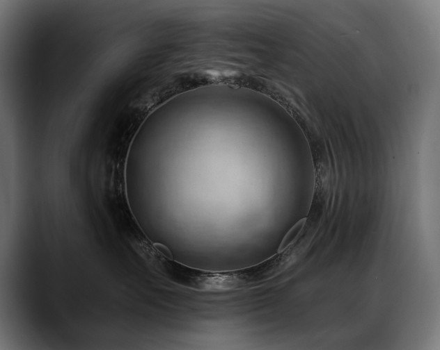 X0000088650527200705251504