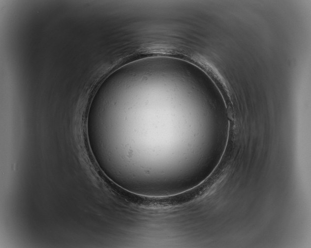 X0000088650529200705251503