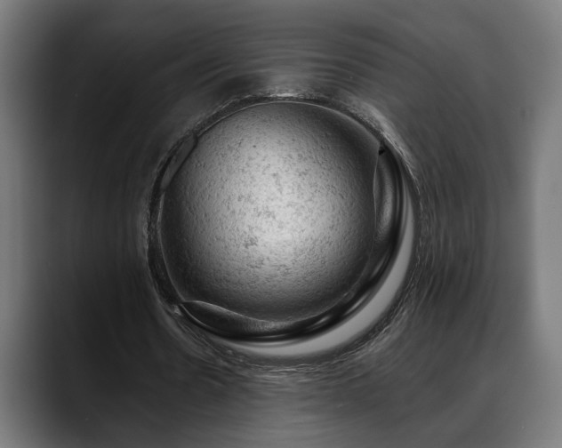 X0000088650530200705251503