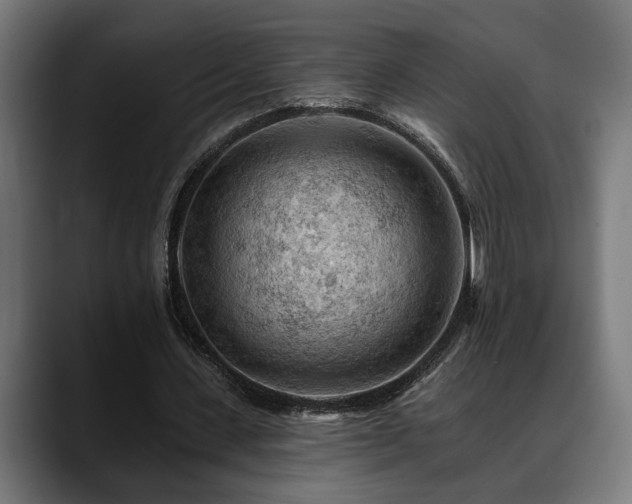 X0000088650531200705251503