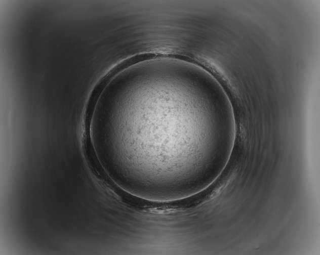 X0000088650532200705251503