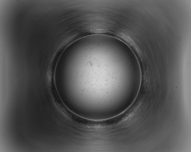 X0000088650533200705251503