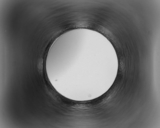 X0000088650534200705251503