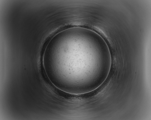 X0000088650535200705251503