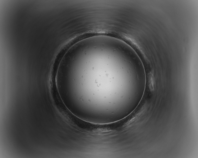 X0000088650536200705251503