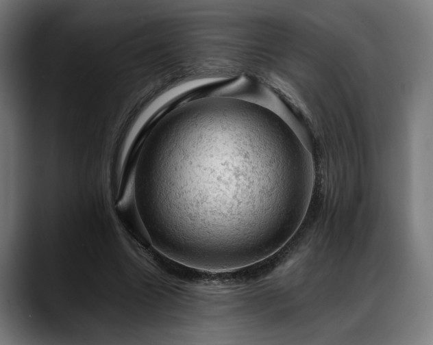 X0000088650538200705251503