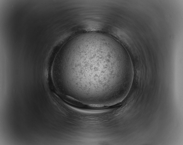 X0000088650539200705251503