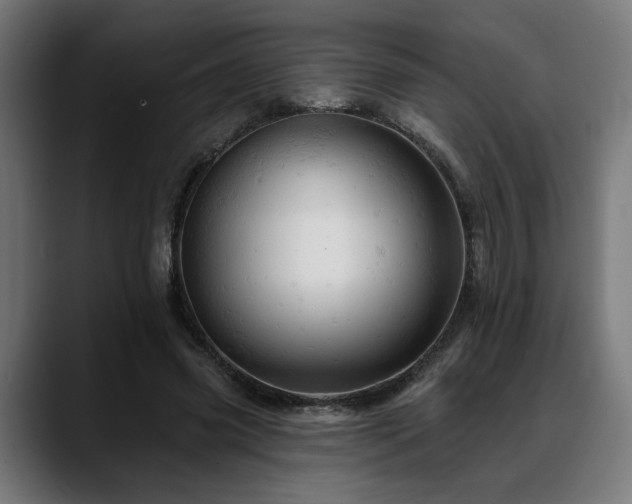 X0000088650541200705251503