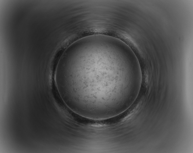 X0000088650542200705251504