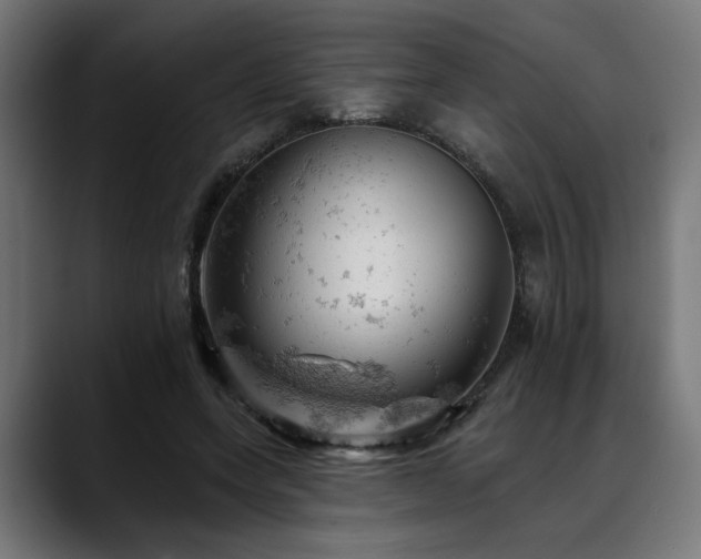 X0000088650543200705251504