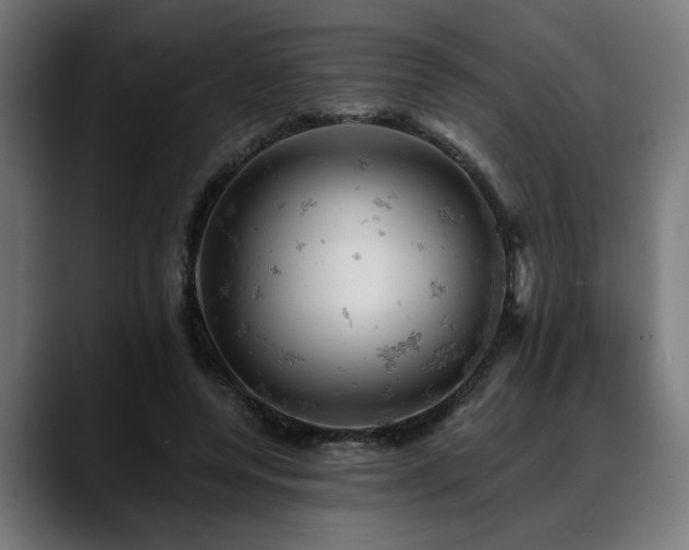 X0000088650544200705251504