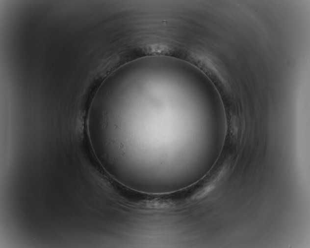X0000088650545200705251504