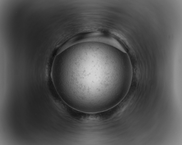 X0000088650546200705251504