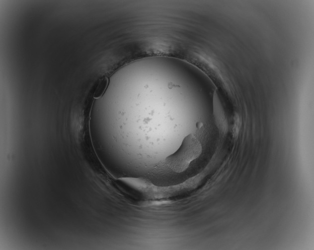X0000088650548200705251504