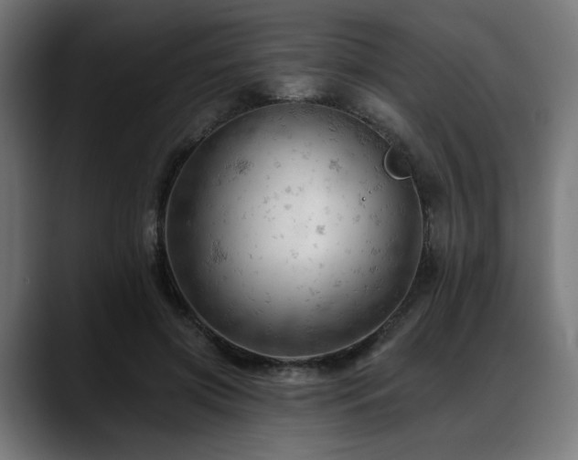 X0000088650549200705251504