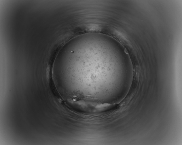 X0000088650550200705251504