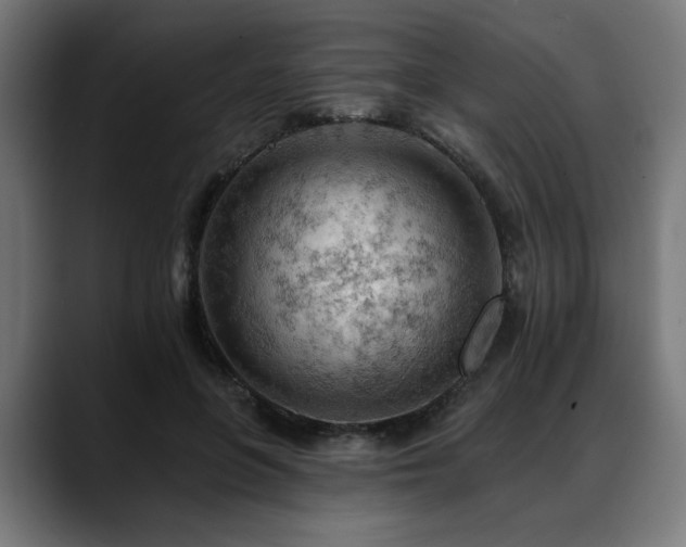 X0000088650551200705251504
