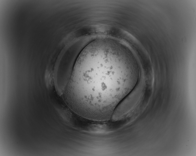 X0000088650552200705251504