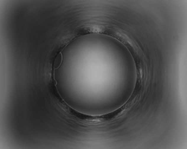 X0000088650553200705251504
