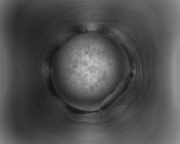 X0000088650555200705251504