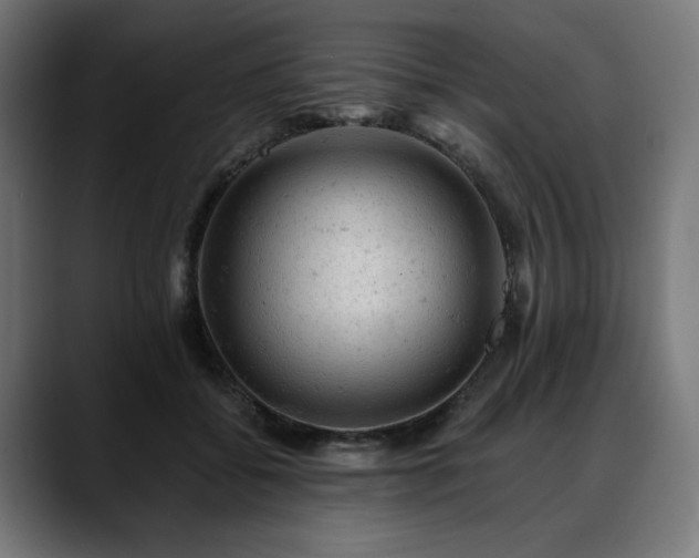 X0000088650556200705251504