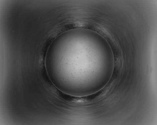 X0000088650557200705251504