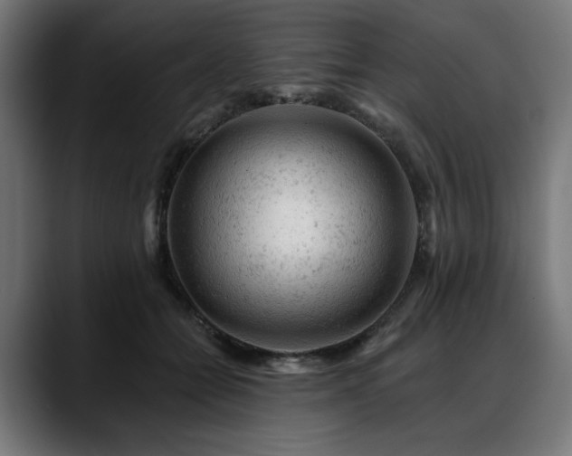 X0000088650558200705251504