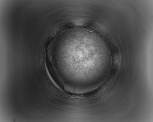 X0000088650559200705251504