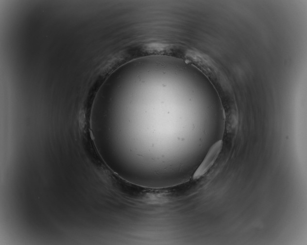X0000088650560200705251504