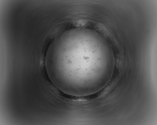 X0000088650561200705251504
