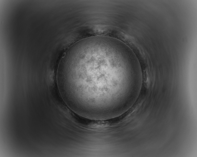 X0000088650563200705251504
