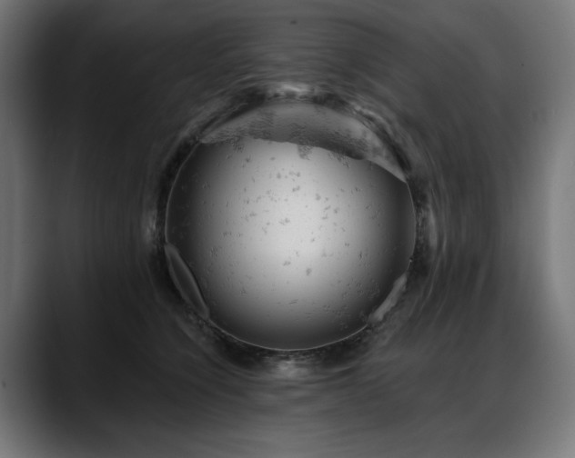 X0000088650564200705251504