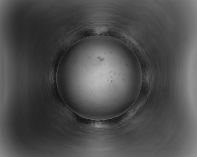 X0000088650565200705251504