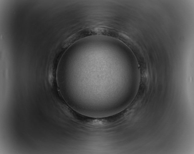 X0000088650566200705251504