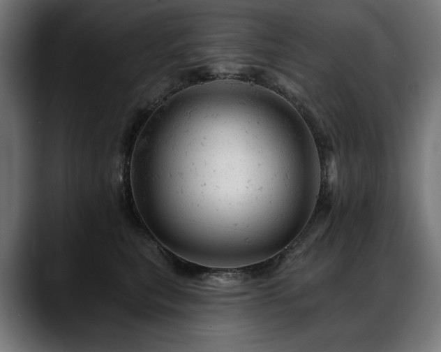 X0000088650567200705251504