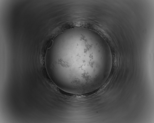 X0000088650569200705251504