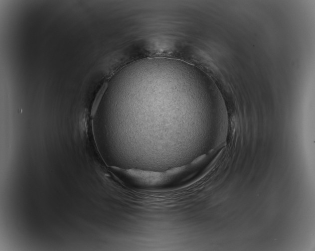 X0000088650570200705251504