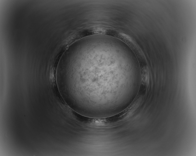 X0000088650573200705251504
