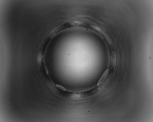 X0000088650574200705251504