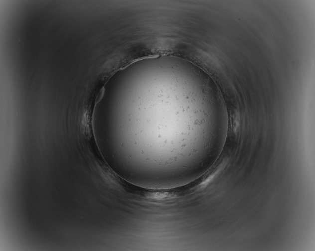 X0000088650575200705251504
