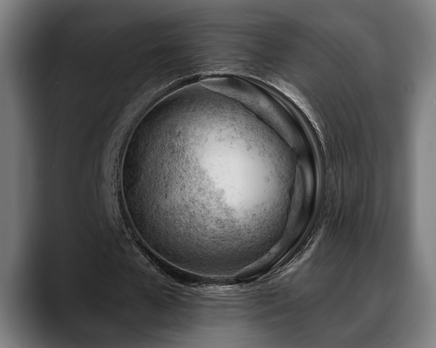 X0000088650577200705251503