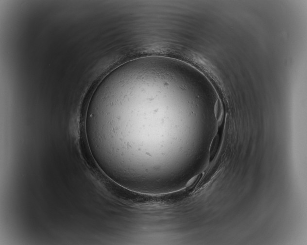 X0000088650578200705251503