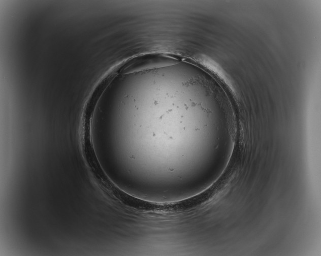X0000088650580200705251503