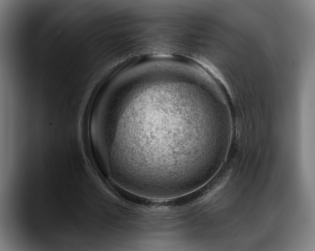 X0000088650581200705251503