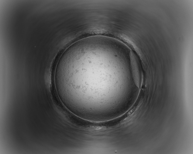 X0000088650582200705251503