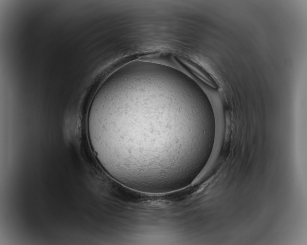 X0000088650583200705251503