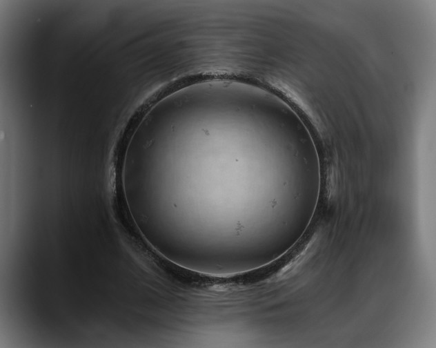 X0000088650584200705251503