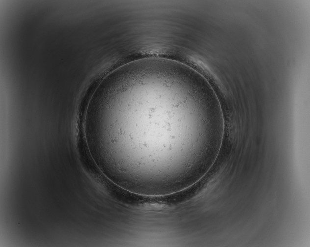 X0000088650586200705251503
